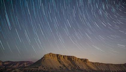 长毛拖把狗，长毛像拖把一样的狗