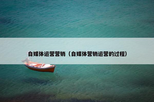 自媒体运营营销（自媒体营销运营的过程）