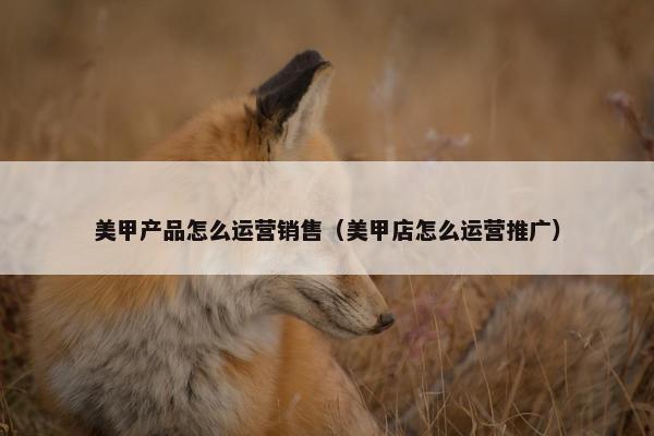 美甲产品怎么运营销售（美甲店怎么运营推广）
