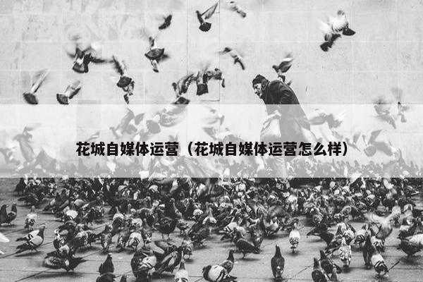 花城自媒体运营（花城自媒体运营怎么样）