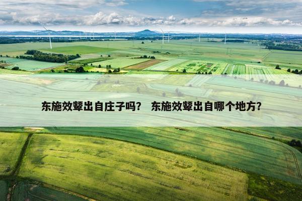 东施效颦出自庄子吗？ 东施效颦出自哪个地方？