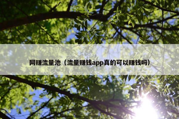 网赚流量池（流量赚钱app真的可以赚钱吗）