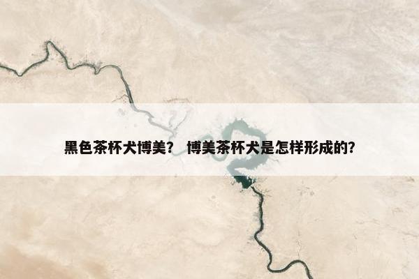 黑色茶杯犬博美？ 博美茶杯犬是怎样形成的？