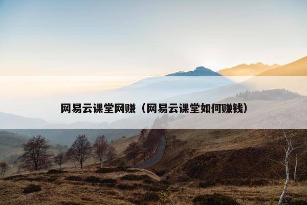 网易云课堂网赚（网易云课堂如何赚钱）