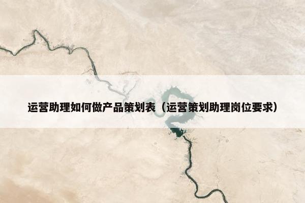 运营助理如何做产品策划表（运营策划助理岗位要求）