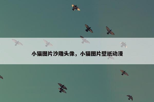 小猫图片沙雕头像，小猫图片壁纸动漫