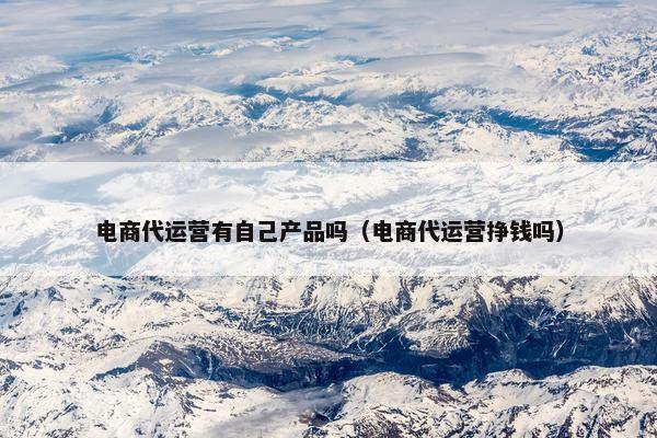 电商代运营有自己产品吗（电商代运营挣钱吗）