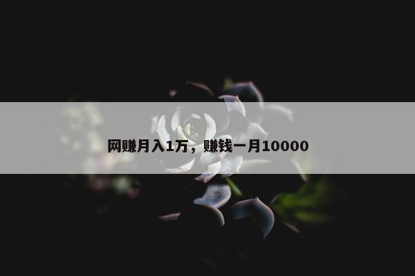 网赚月入1万，赚钱一月10000
