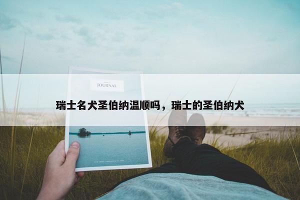 瑞士名犬圣伯纳温顺吗，瑞士的圣伯纳犬
