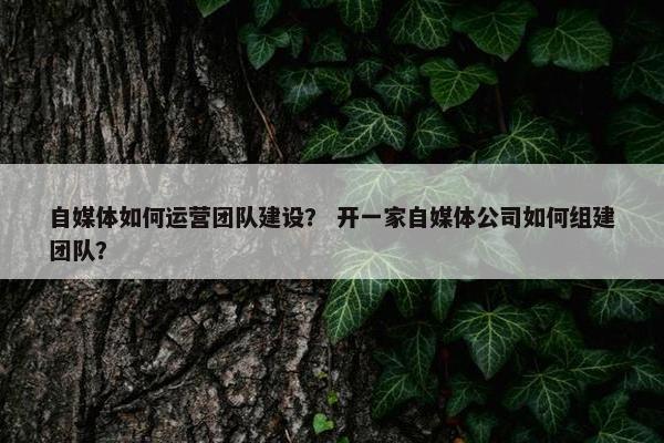 自媒体如何运营团队建设？ 开一家自媒体公司如何组建团队？