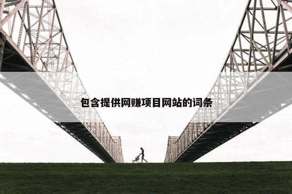 包含提供网赚项目网站的词条
