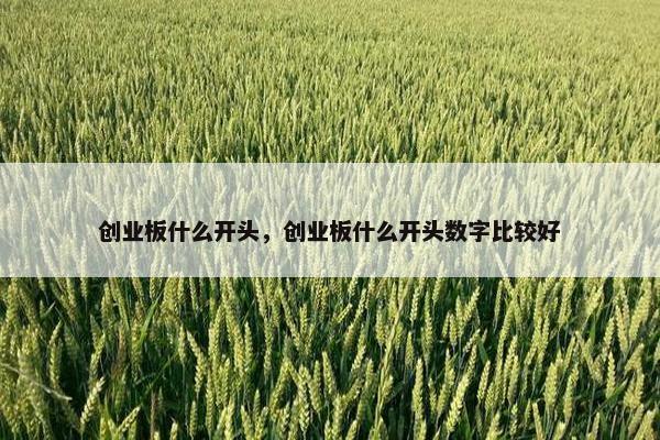 创业板什么开头，创业板什么开头数字比较好