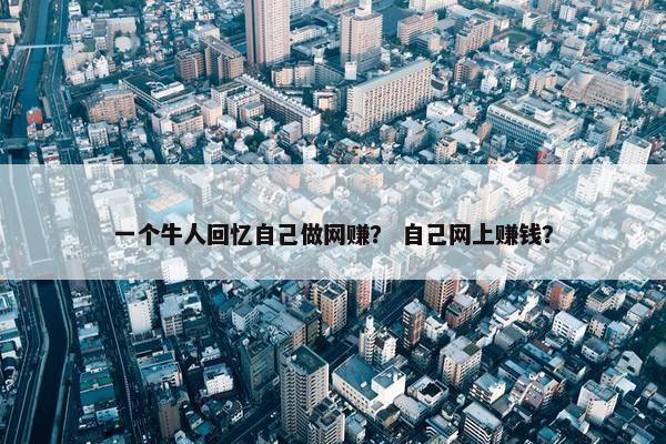 一个牛人回忆自己做网赚？ 自己网上赚钱？