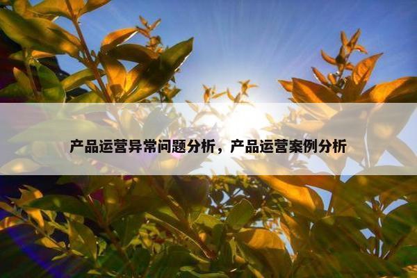 产品运营异常问题分析，产品运营案例分析