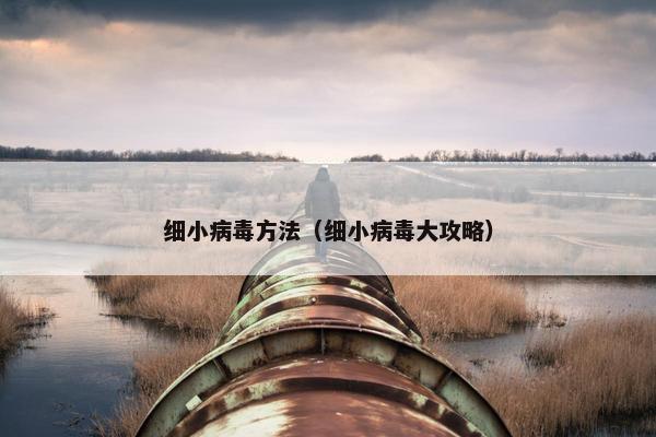 细小病毒方法（细小病毒大攻略）