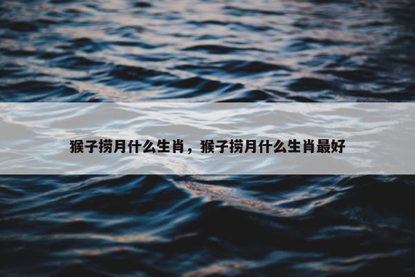 猴子捞月什么生肖，猴子捞月什么生肖最好