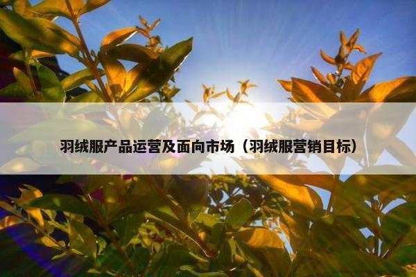 羽绒服产品运营及面向市场（羽绒服营销目标）