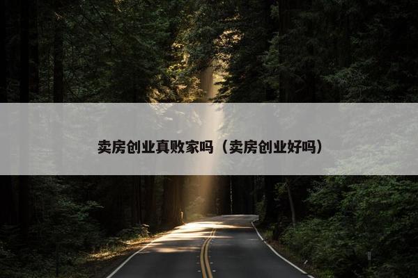 卖房创业真败家吗（卖房创业好吗）