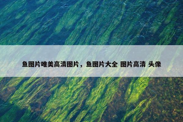 鱼图片唯美高清图片，鱼图片大全 图片高清 头像