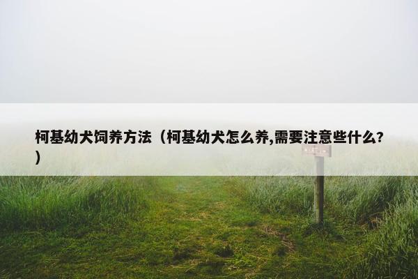 柯基幼犬饲养方法（柯基幼犬怎么养,需要注意些什么?）