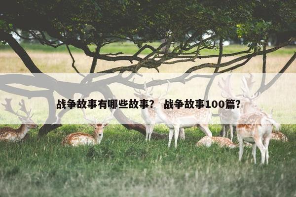 战争故事有哪些故事？ 战争故事100篇？