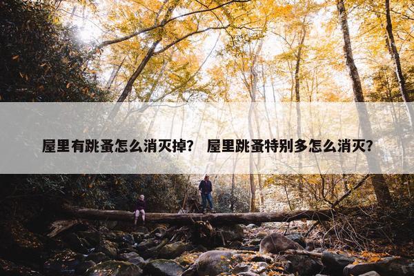 屋里有跳蚤怎么消灭掉？ 屋里跳蚤特别多怎么消灭？