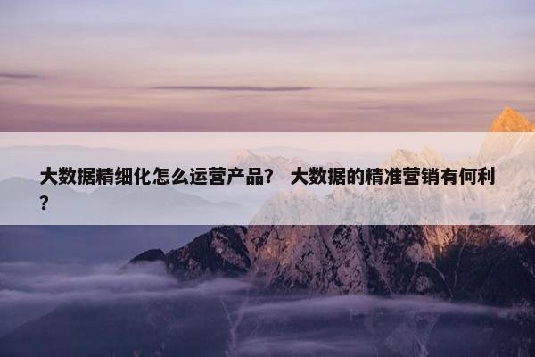 大数据精细化怎么运营产品？ 大数据的精准营销有何利？