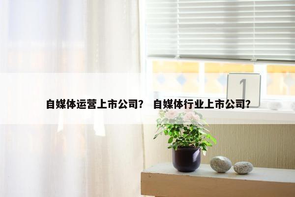 自媒体运营上市公司？ 自媒体行业上市公司？