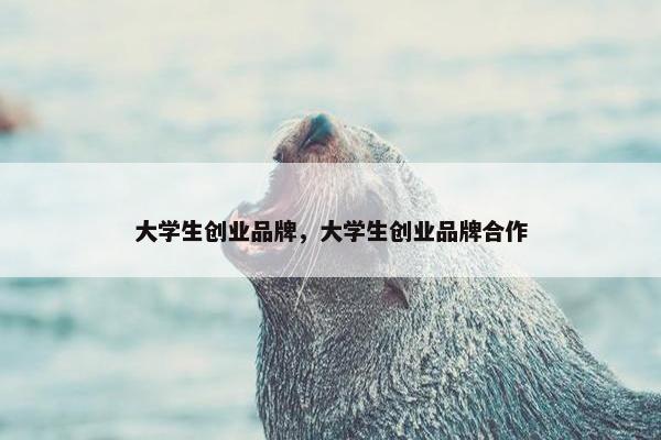大学生创业品牌，大学生创业品牌合作