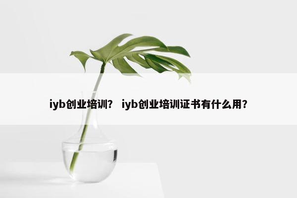 iyb创业培训？ iyb创业培训证书有什么用？