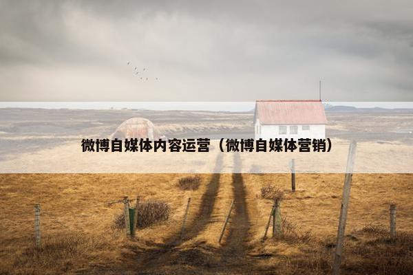 微博自媒体内容运营（微博自媒体营销）