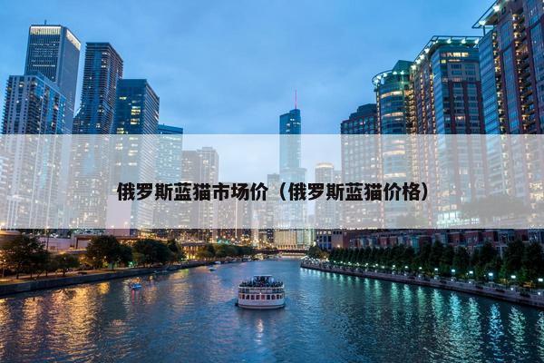 俄罗斯蓝猫市场价（俄罗斯蓝猫价格）