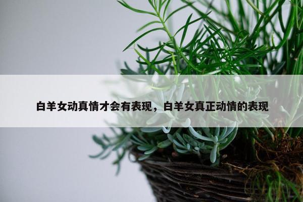 白羊女动真情才会有表现，白羊女真正动情的表现