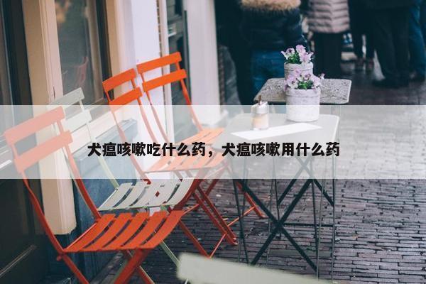 犬瘟咳嗽吃什么药，犬瘟咳嗽用什么药
