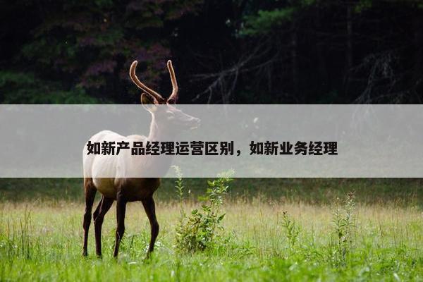 如新产品经理运营区别，如新业务经理