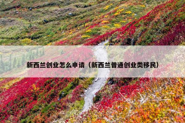新西兰创业怎么申请（新西兰普通创业类移民）