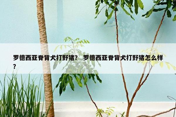 罗德西亚脊背犬打野猪？ 罗德西亚脊背犬打野猪怎么样？