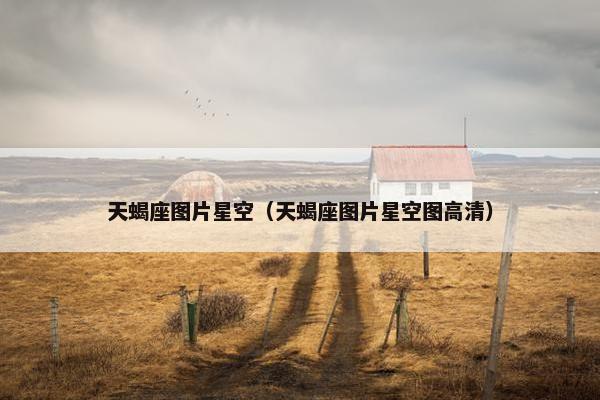 天蝎座图片星空（天蝎座图片星空图高清）