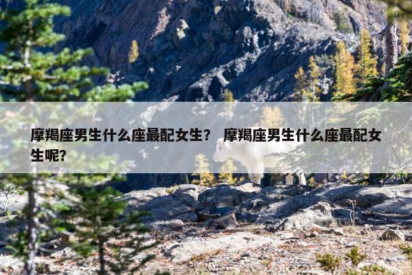 摩羯座男生什么座最配女生？ 摩羯座男生什么座最配女生呢？