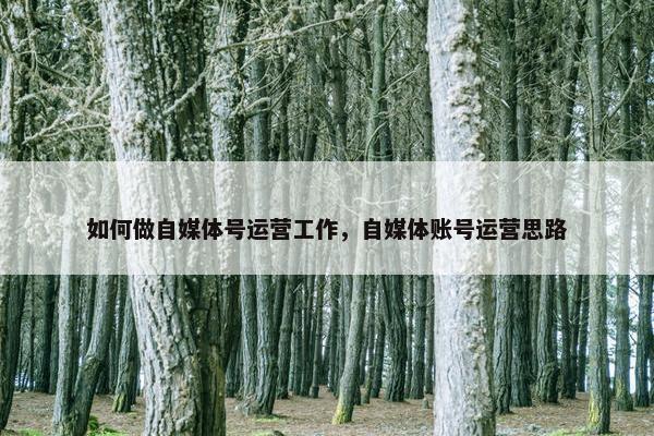 如何做自媒体号运营工作，自媒体账号运营思路