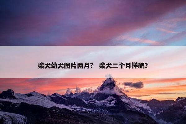 柴犬幼犬图片两月？ 柴犬二个月样貌？