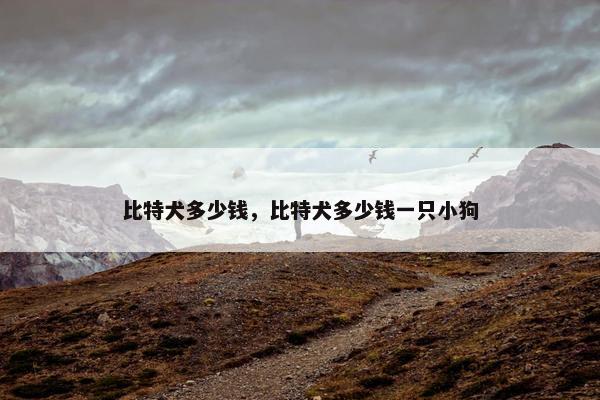 比特犬多少钱，比特犬多少钱一只小狗