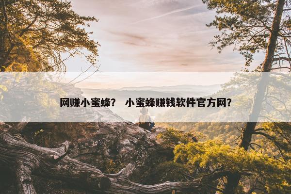 网赚小蜜蜂？ 小蜜蜂赚钱软件官方网？