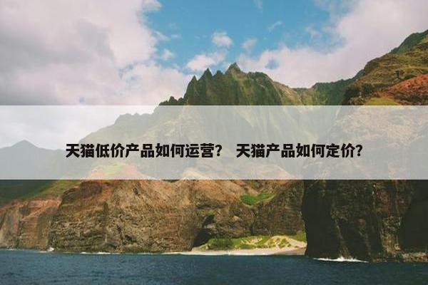 天猫低价产品如何运营？ 天猫产品如何定价？