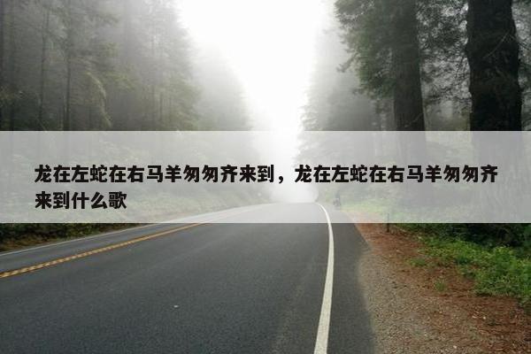 龙在左蛇在右马羊匆匆齐来到，龙在左蛇在右马羊匆匆齐来到什么歌