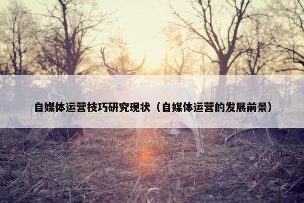 自媒体运营技巧研究现状（自媒体运营的发展前景）