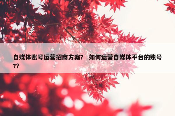 自媒体账号运营招商方案？ 如何运营自媒体平台的账号?？