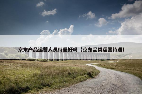 京东产品运营人员待遇好吗（京东品类运营待遇）