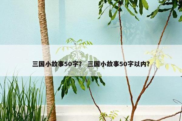 三国小故事50字？ 三国小故事50字以内？