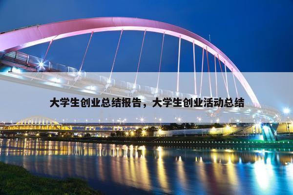 大学生创业总结报告，大学生创业活动总结